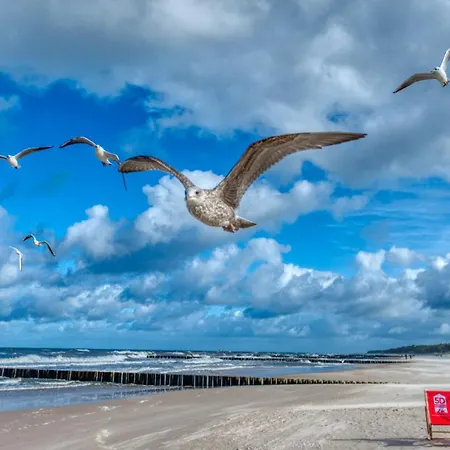 208 Z 2 Sypialniami, 2 Lazienkami Z Basenem, Sauna, Jacuzzi, Przy Samej Plazy - 5d *